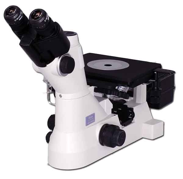Nikon MA100 Inverted Microscope